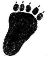 bear foot