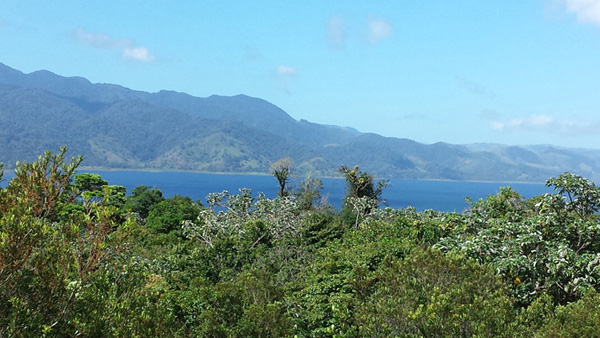 Photo of Arenal Lake from the side of Volcn Arenal