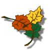 leaves left