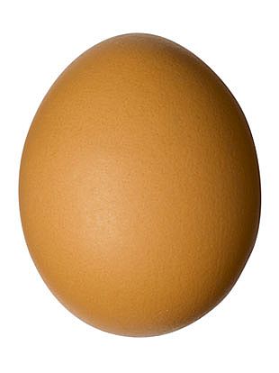 oval egg