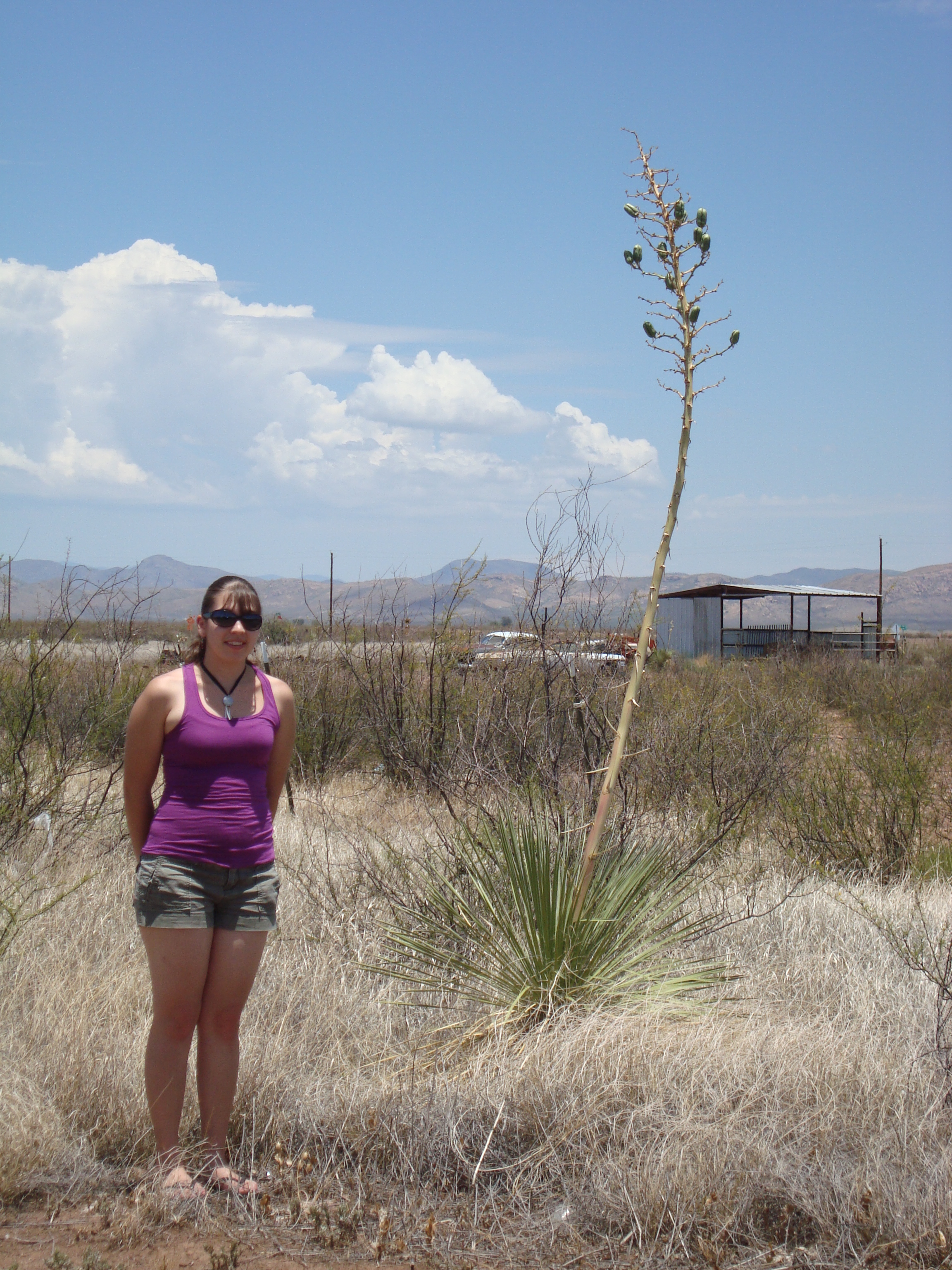 maira with yucca plant