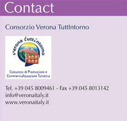 Contact Information