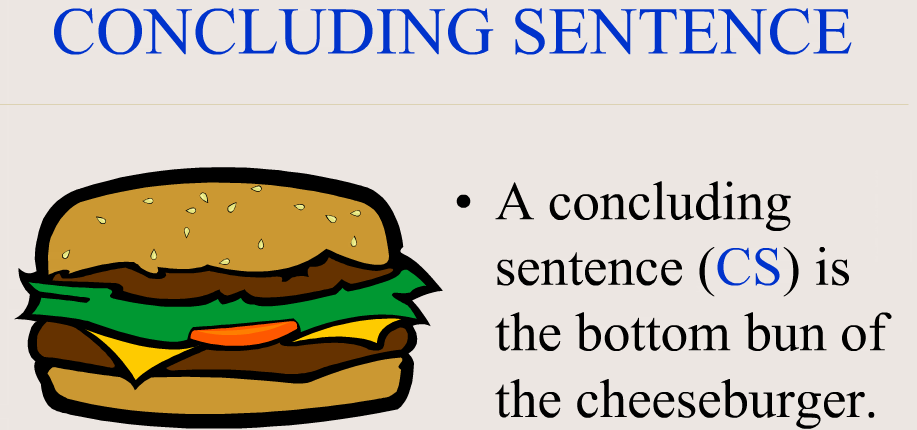 picture of a concluding sentence using a hamburger bun