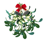 picture of mistletoe