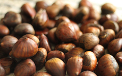 Picture of chestnuts