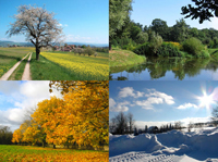 picture of the four seasons