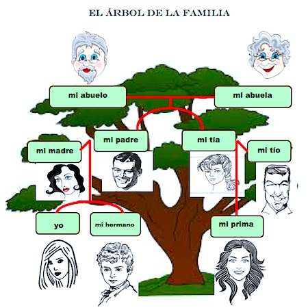 arbol-de-familia