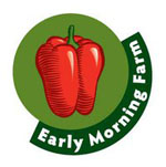 early_morning_farm