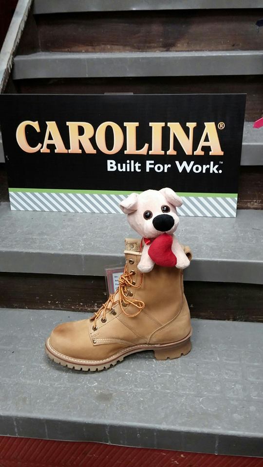 carolina
