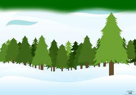 forest