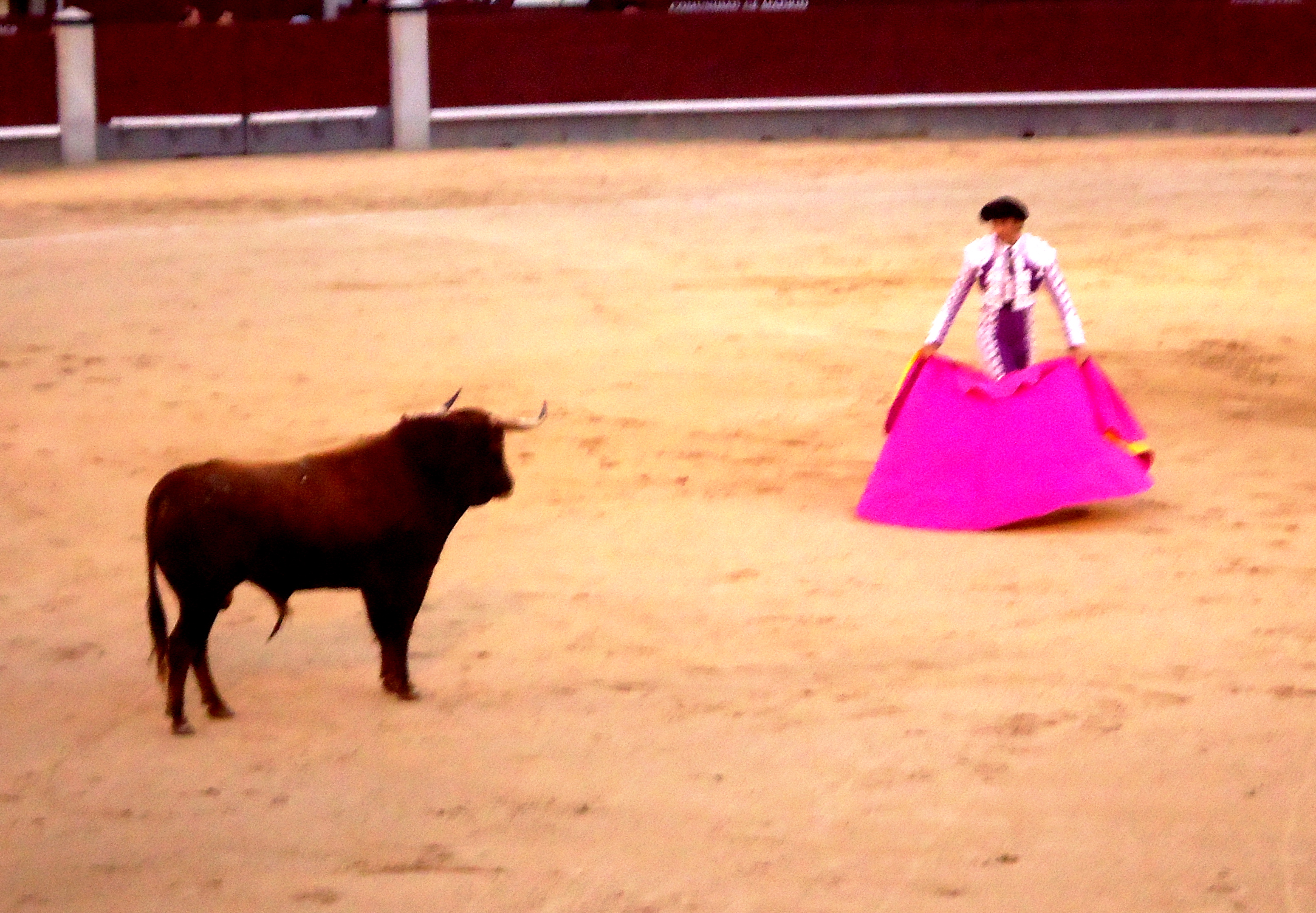 corridadetoros