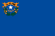 Nevada flag