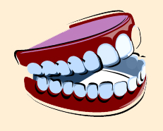 Denture Picture