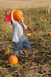 picking pumpkins