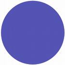 purple circle