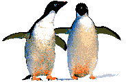 penguin