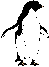 penguin