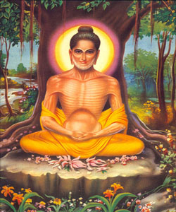 buddha8