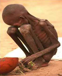 starve