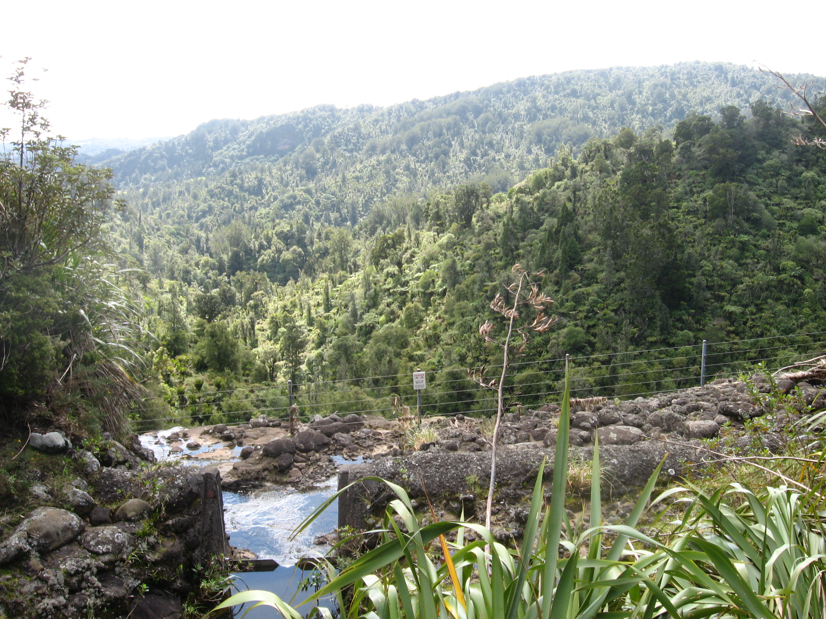 waitakere ranges