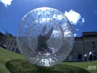 zorb ball