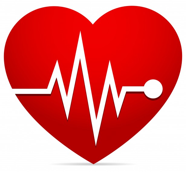 cardiac heart