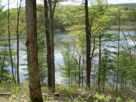 Chenango Valley State Park Lakeview