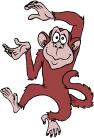 monkey