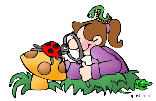 girl examined ladybug