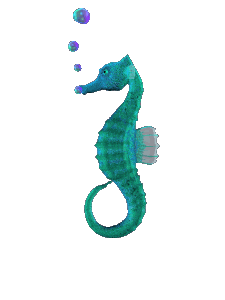 seahorse