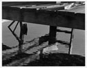 dock and lake
