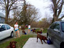 girl with dog