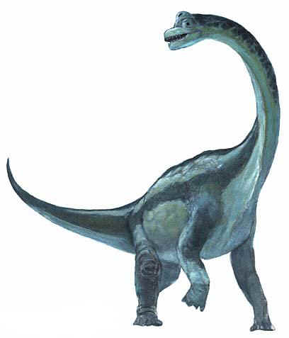 brachiosaurus