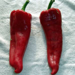 redpepers